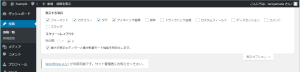 表示オプション２